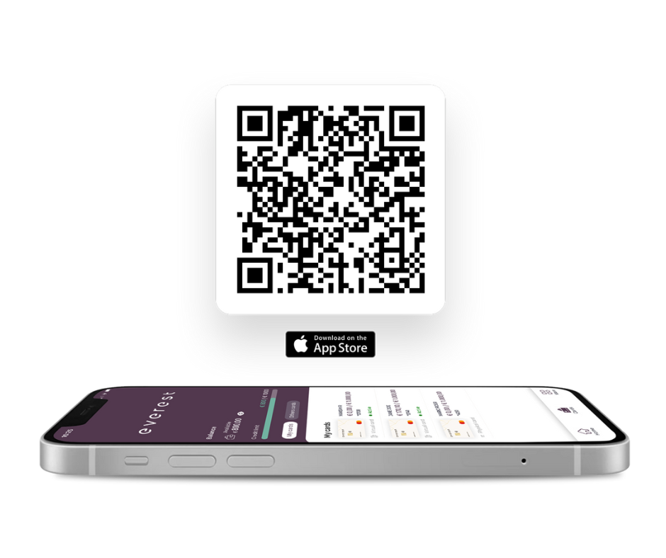 Control all your business finances on the go – Everestcard